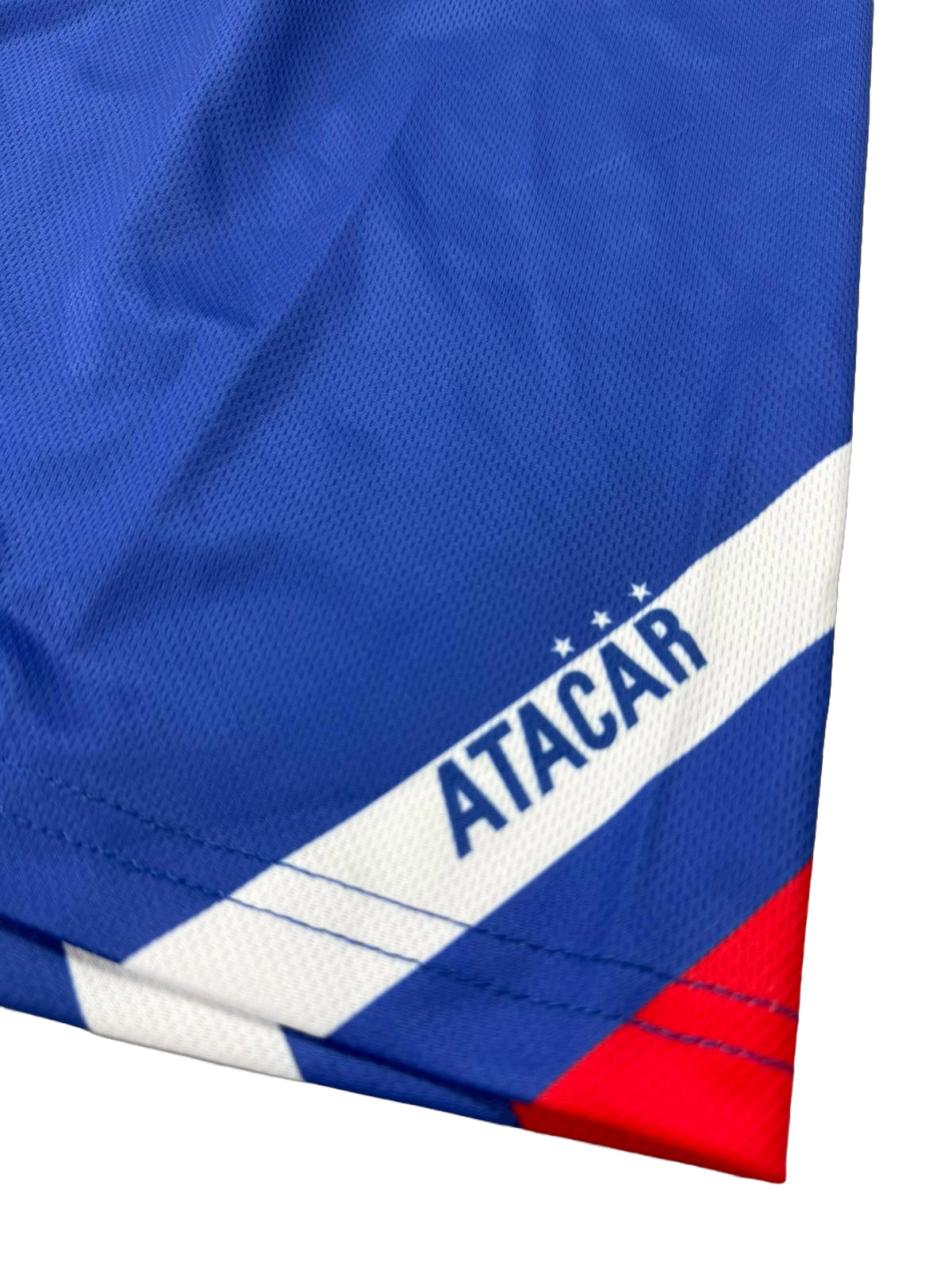 WHFC Stripe Shorts